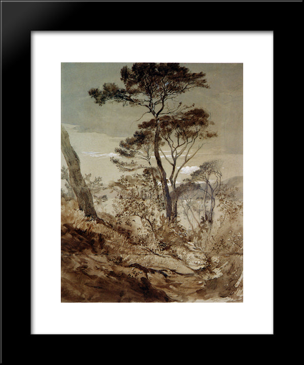 Stone Pines At Sestri 20x24 Black Modern Wood Framed Art Print Poster by Ruskin, John