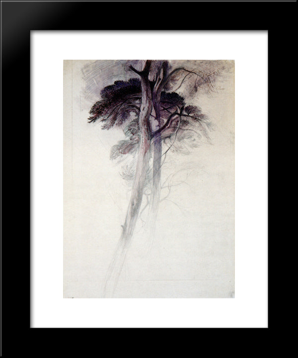 Study Of Trees From Turner 20x24 Black Modern Wood Framed Art Print Poster by Ruskin, John