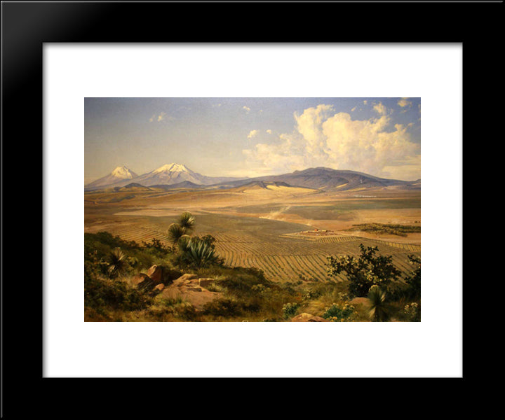 El Valle De Mexico 20x24 Black Modern Wood Framed Art Print Poster by Velasco Gomez, Jose Maria
