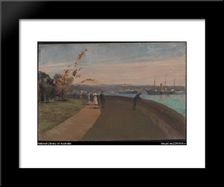 The Botanic Gardens, Sydney 20x24 Black Modern Wood Framed Art Print Poster by Ashton, Julian