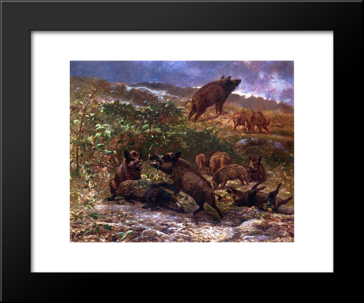 A Family Of Wild Boar 20x24 Black Modern Wood Framed Art Print Poster by Bodmer, Karl