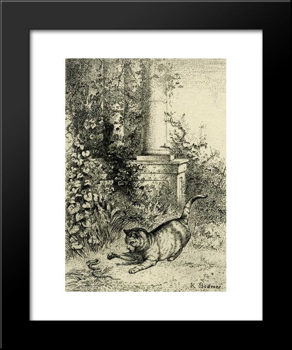 Cat Playing With An Adder 20x24 Black Modern Wood Framed Art Print Poster by Bodmer, Karl