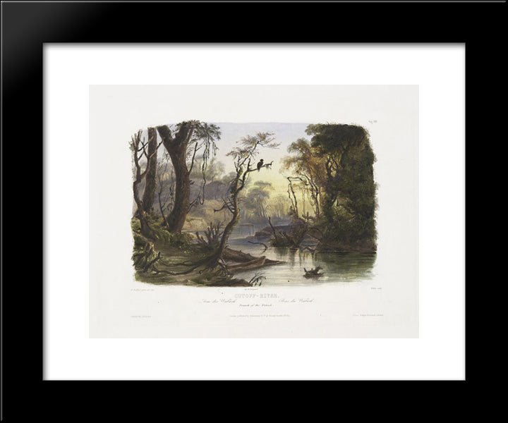 Cutoff River, Branch Of The Wabash, Plate 8 From Volume 1 Of 'Travels In The Interior Of North America' 20x24 Black Modern Wood Framed Art Print Poster by Bodmer, Karl