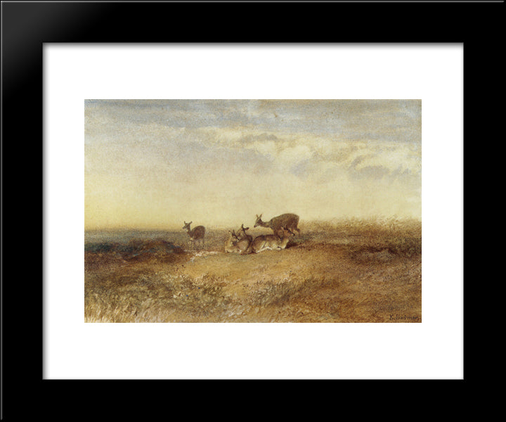 Deer In A Landscape 20x24 Black Modern Wood Framed Art Print Poster by Bodmer, Karl