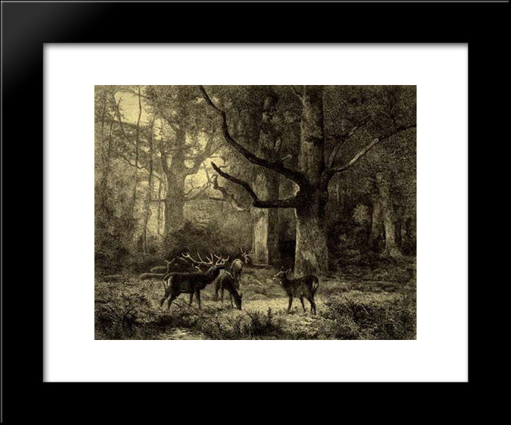 Forest Of Fontainbleau 20x24 Black Modern Wood Framed Art Print Poster by Bodmer, Karl