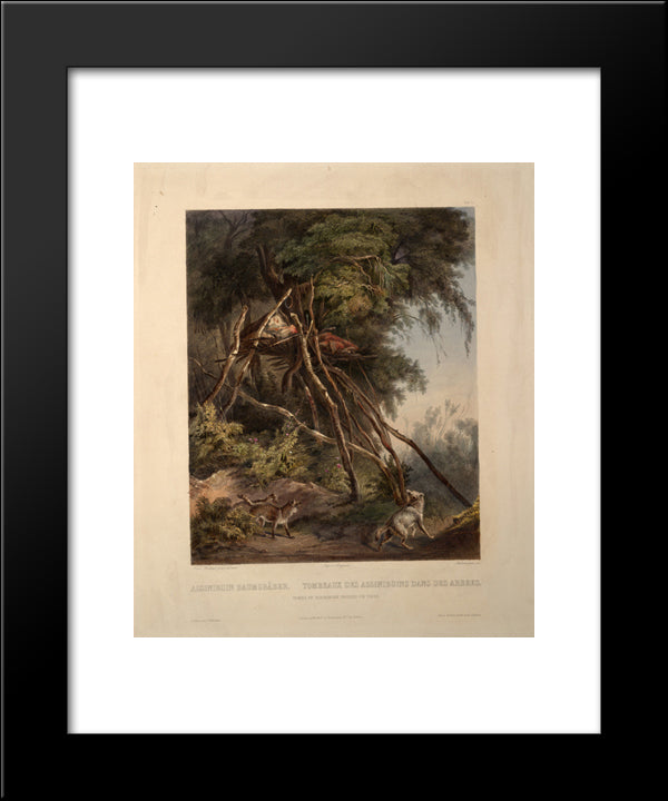 Tombs Of Assiniboin Indians On Trees, Plate 30 From Volume 1 Of `Travels In The Interior Of North America' 20x24 Black Modern Wood Framed Art Print Poster by Bodmer, Karl