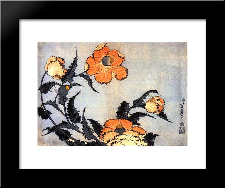 Poppies 20x24 Black Modern Wood Framed Art Print Poster by Hokusai, Katsushika