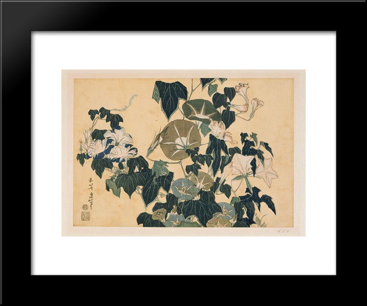 Volubilism And Pippin 20x24 Black Modern Wood Framed Art Print Poster by Hokusai, Katsushika