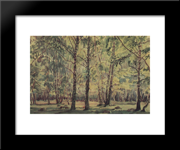 Birch Grove 20x24 Black Modern Wood Framed Art Print Poster by Bogaevsky, Konstantin