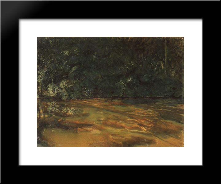 Overgrown Pond 20x24 Black Modern Wood Framed Art Print Poster by Somov, Konstantin