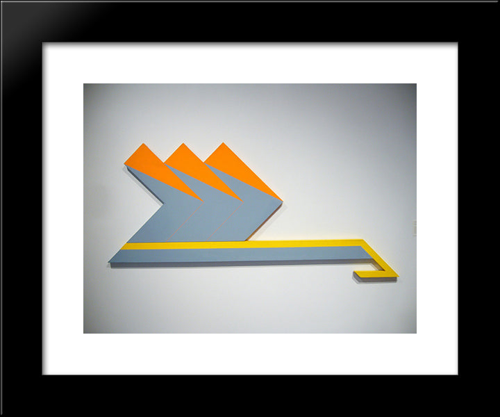 Skeedo 20x24 Black Modern Wood Framed Art Print Poster by Valledor, Leo