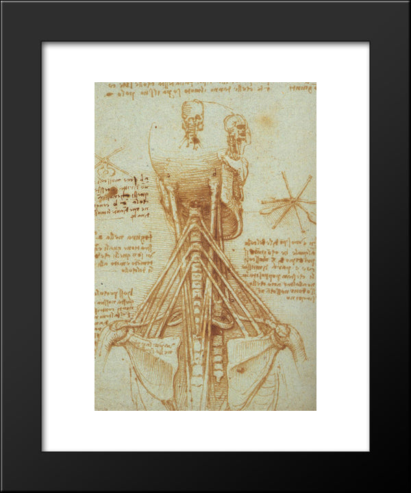 Anatomy Of The Neck 20x24 Black Modern Wood Framed Art Print Poster by da Vinci, Leonardo