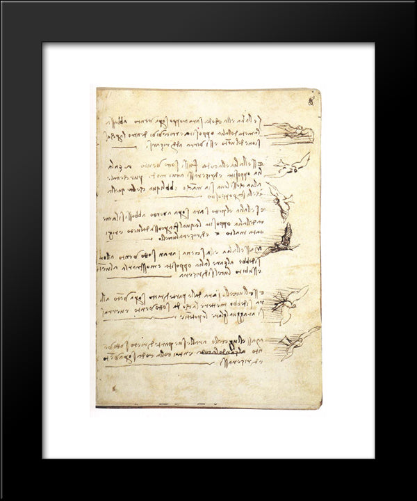Codex On The Flight Of Birds 20x24 Black Modern Wood Framed Art Print Poster by da Vinci, Leonardo