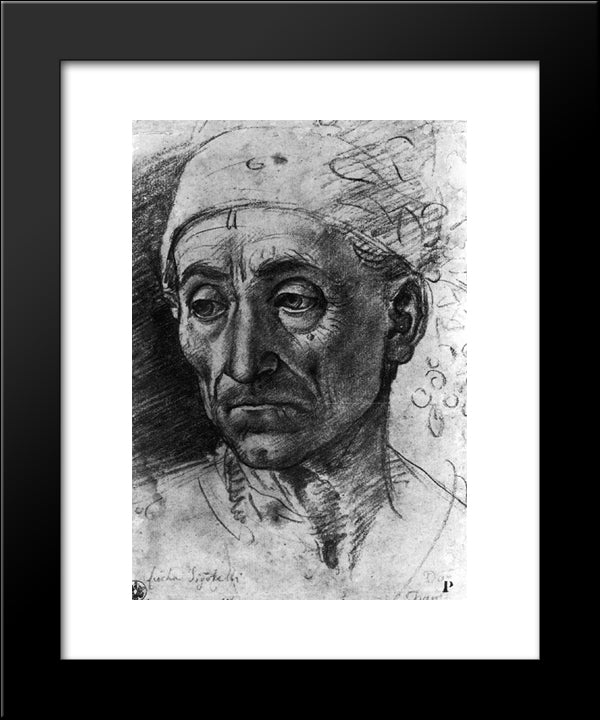 Head Of A Poet Wearing A Cap 20x24 Black Modern Wood Framed Art Print Poster by Signorelli, Luca