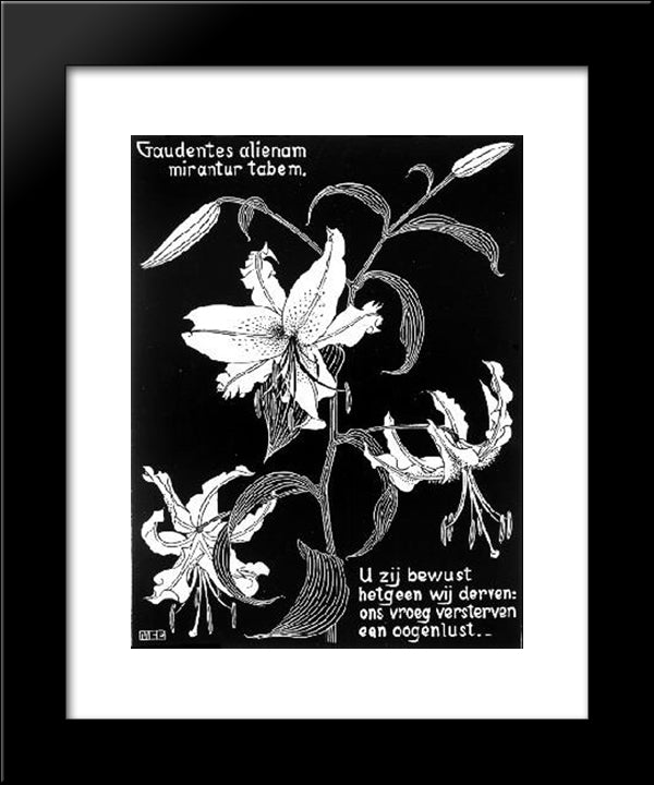 Flowers 20x24 Black Modern Wood Framed Art Print Poster by Escher, M.C.