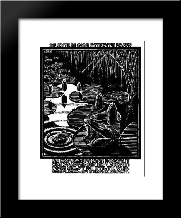 Frog 20x24 Black Modern Wood Framed Art Print Poster by Escher, M.C.