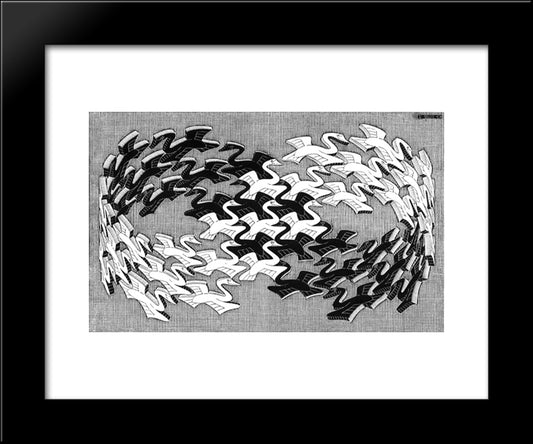 Swans 20x24 Black Modern Wood Framed Art Print Poster by Escher, M.C.