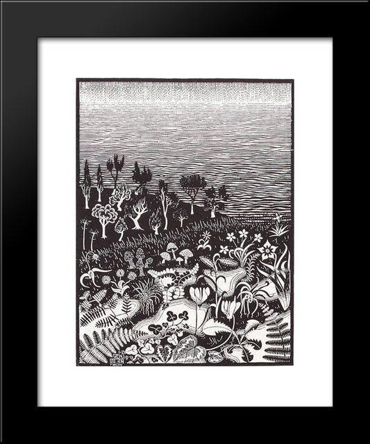 The 3Rd Day Of The Creation 20x24 Black Modern Wood Framed Art Print Poster by Escher, M.C.