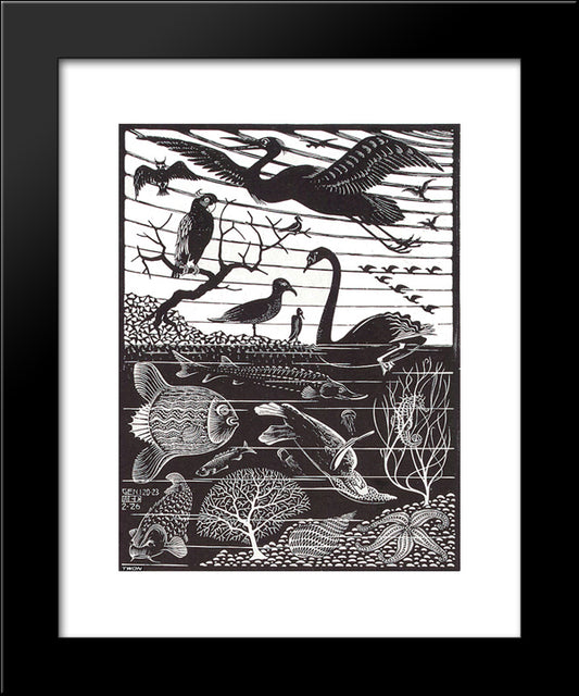 The 5Th Day Of The Creation 20x24 Black Modern Wood Framed Art Print Poster by Escher, M.C.