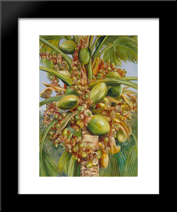 Female Coco De Mer Bearing Fruit Covered With Small Green Lizards 20x24 Black Modern Wood Framed Art Print Poster by North, Marianne