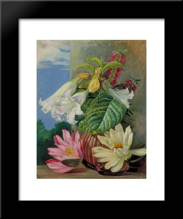 Flowers Cultivated In The Botanic Garden, Rio Janeiro, Brazil 20x24 Black Modern Wood Framed Art Print Poster by North, Marianne