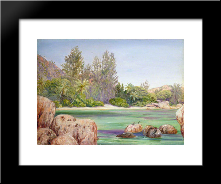 Life On The Coast Of Praslin, Seychelles 20x24 Black Modern Wood Framed Art Print Poster by North, Marianne