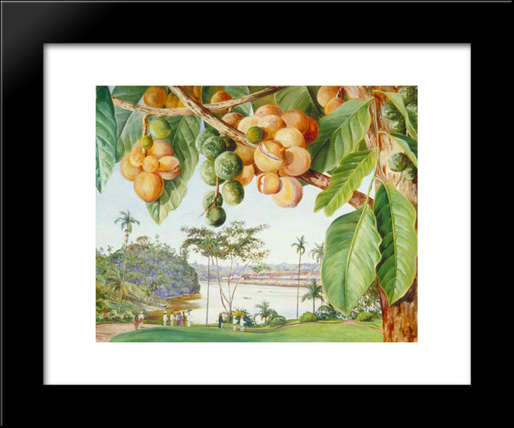 View From The Istana, Sarawak, Borneo 20x24 Black Modern Wood Framed Art Print Poster by North, Marianne