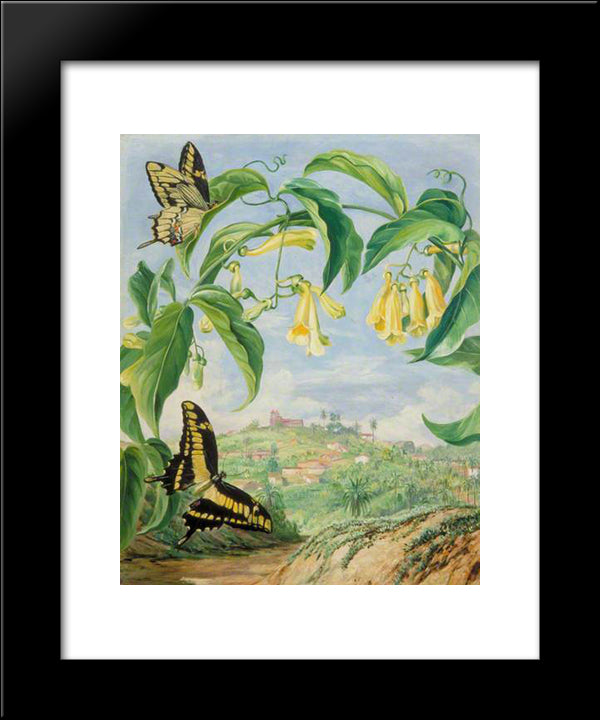 Yellow Bignonia And Swallow-Tail Butterflies With A View Of Congonhas, Brazil 20x24 Black Modern Wood Framed Art Print Poster by North, Marianne