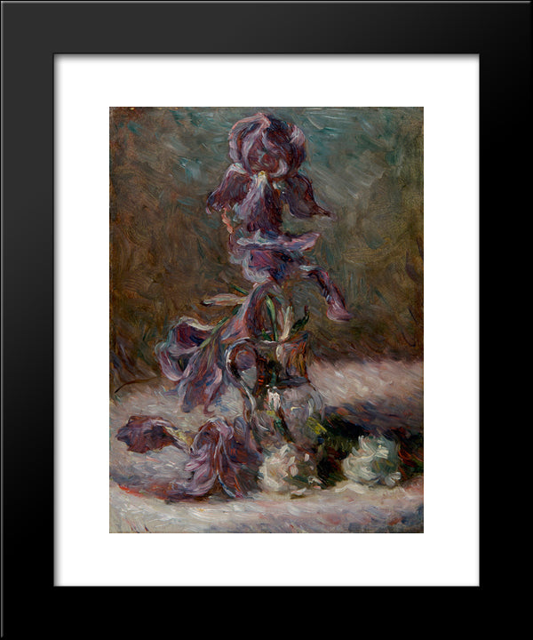 Iris In A Vase 1886 20x24 Black Modern Wood Framed Art Print Poster by Bracquemond, Marie