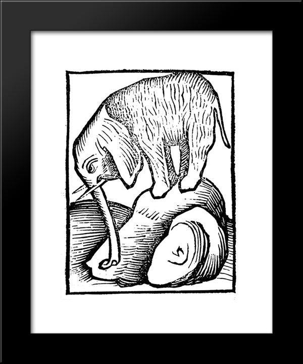 Elephant In Hortus Sanitatis 20x24 Black Modern Wood Framed Art Print Poster by Schongauer, Martin