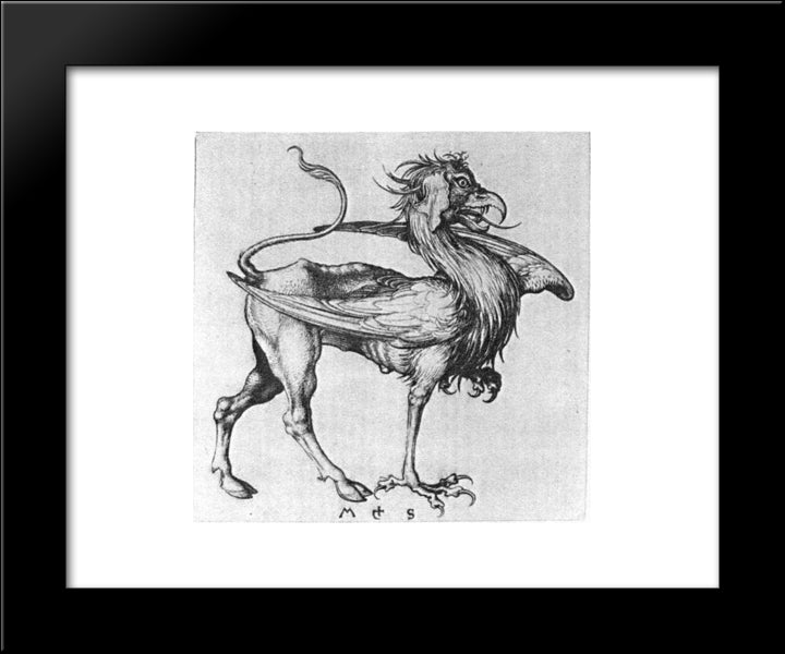 Griffin 20x24 Black Modern Wood Framed Art Print Poster by Schongauer, Martin
