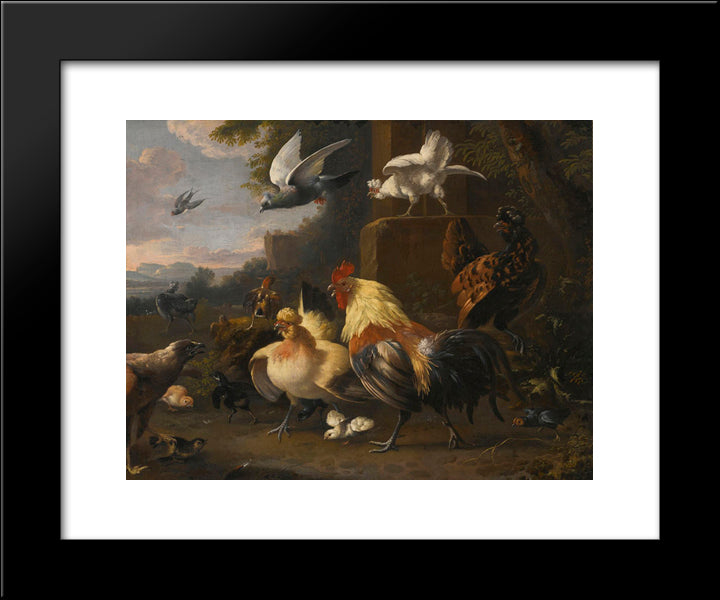 An Eagle, A Cockerell, Hens, A Pigeon In Flight And Other Birds 20x24 Black Modern Wood Framed Art Print Poster by Hondecoeter, Melchior de