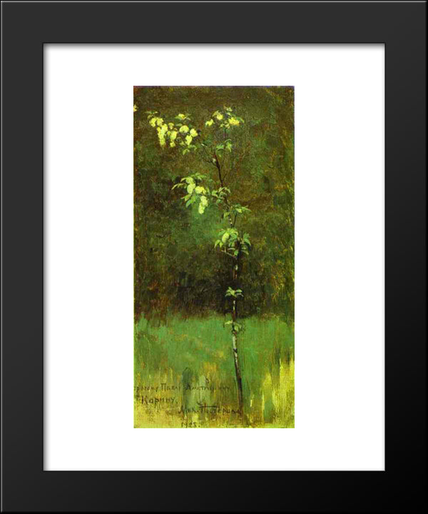 A Tree In Blossom 20x24 Black Modern Wood Framed Art Print Poster by Nesterov, Mikhail