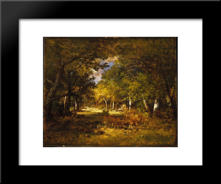 Forest Scene 20x24 Black Modern Wood Framed Art Print Poster by Diaz, Narcisse Virgilio