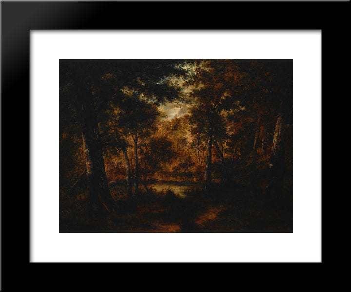 The Fairy Pool 20x24 Black Modern Wood Framed Art Print Poster by Diaz, Narcisse Virgilio