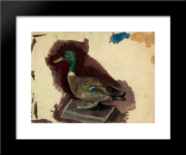 Stuffed Duck 20x24 Black Modern Wood Framed Art Print Poster by Roerich, Nicholas