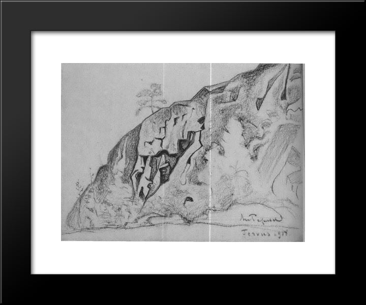 Tervus 20x24 Black Modern Wood Framed Art Print Poster by Roerich, Nicholas