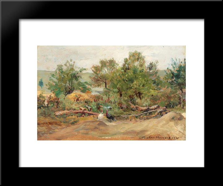 Turkeys In Vlaici 20x24 Black Modern Wood Framed Art Print Poster by Vermont, Nicolae