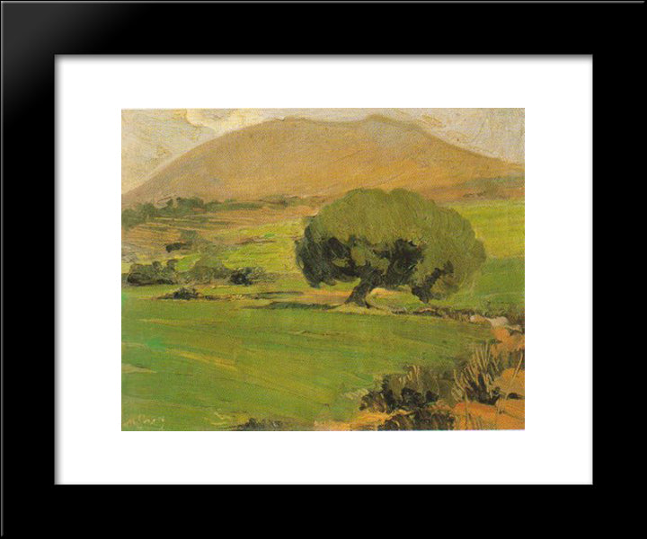 Landscape Of Attica 20x24 Black Modern Wood Framed Art Print Poster by Lytras, Nikolaos