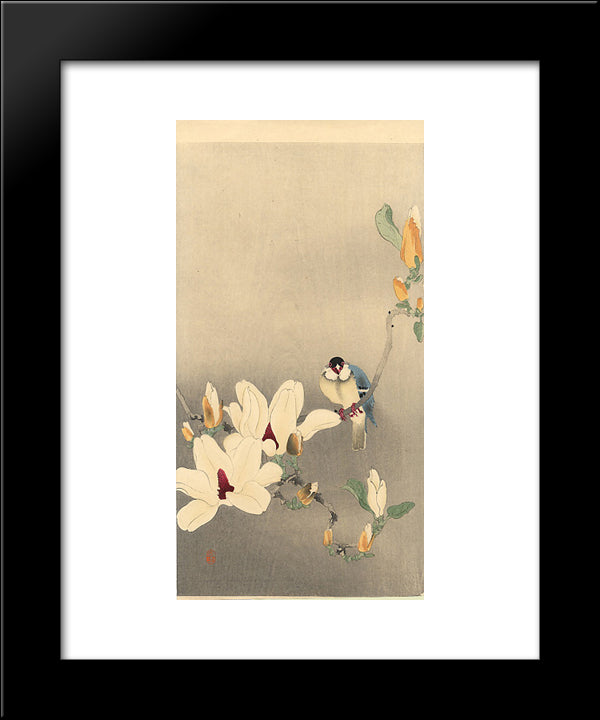 Blue Bird And Magnolia 20x24 Black Modern Wood Framed Art Print Poster by Koson, Ohara