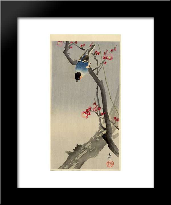 Bullfinch On Flowering Plum 20x24 Black Modern Wood Framed Art Print Poster by Koson, Ohara
