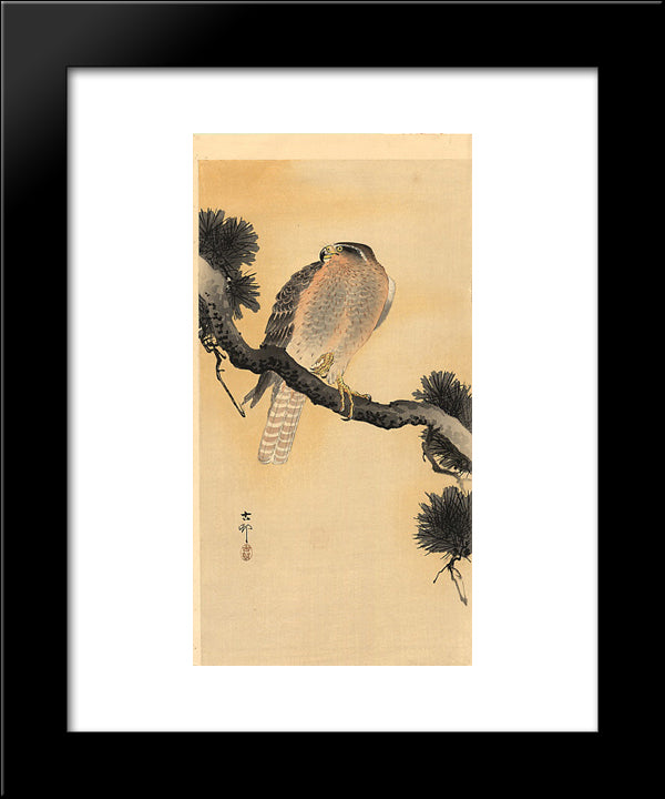 Falcon On A Branch 20x24 Black Modern Wood Framed Art Print Poster by Koson, Ohara