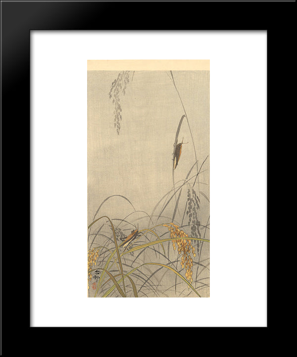 Grasshoppers On Rice Plants 20x24 Black Modern Wood Framed Art Print Poster by Koson, Ohara