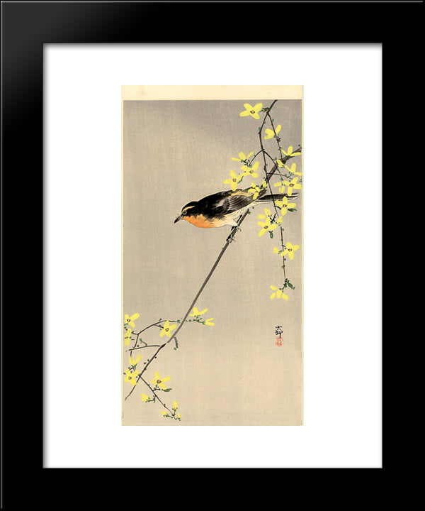 Orange-Breasted Bird 20x24 Black Modern Wood Framed Art Print Poster by Koson, Ohara