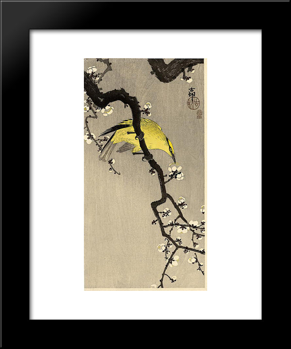 Oriole 20x24 Black Modern Wood Framed Art Print Poster by Koson, Ohara