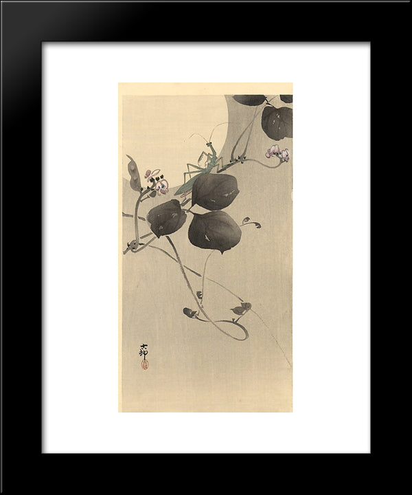 Praying Mantis 20x24 Black Modern Wood Framed Art Print Poster by Koson, Ohara