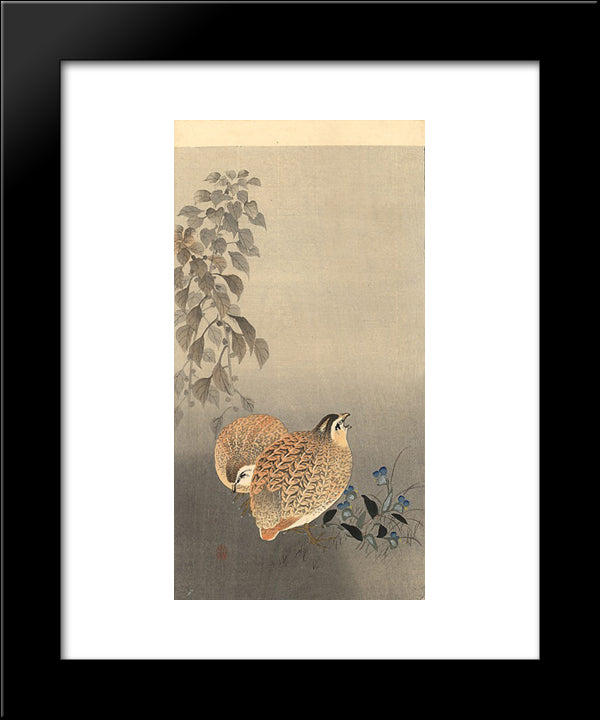 Quails 20x24 Black Modern Wood Framed Art Print Poster by Koson, Ohara