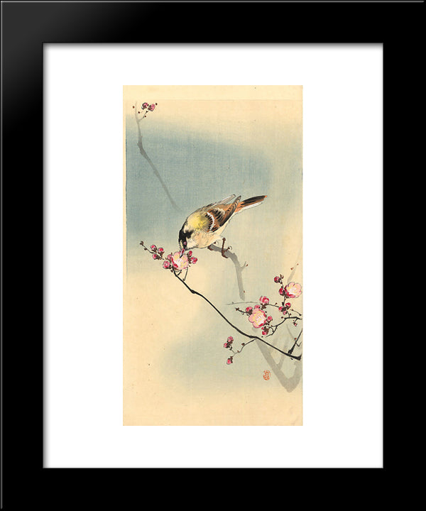 Songbird On Plum Blossom 20x24 Black Modern Wood Framed Art Print Poster by Koson, Ohara