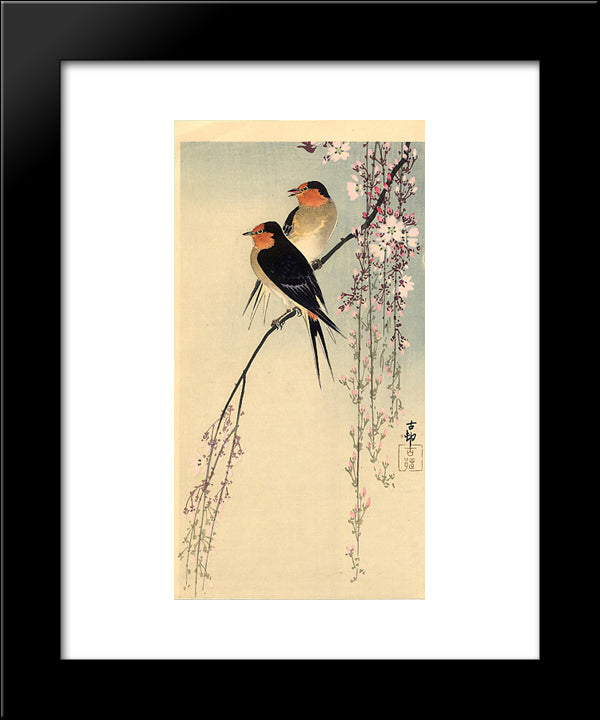 Swallows With Cherry Blossom 20x24 Black Modern Wood Framed Art Print Poster by Koson, Ohara