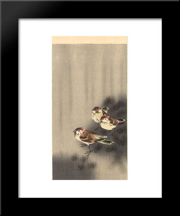 Three Tree Sparrows In A Rain Shower 20x24 Black Modern Wood Framed Art Print Poster by Koson, Ohara